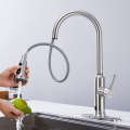 Brush Nickel Chrome Flexible Kitchen Faucet